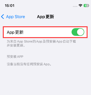 苍溪苹果15维修中心如何让iPhone15APP自动更新